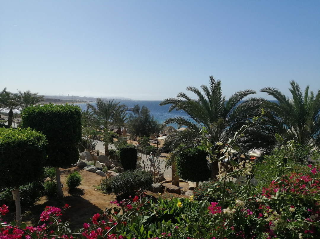 Oryx Hotel Aqaba主图