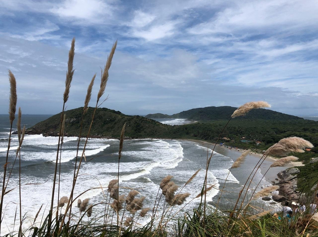 Parque Estadual Ilha do Mel-Ilha do Mel必去景点