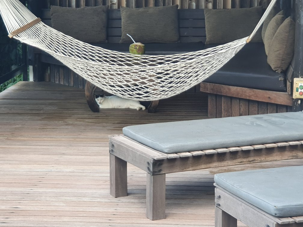 柯岛高地精品别墅酒店主图