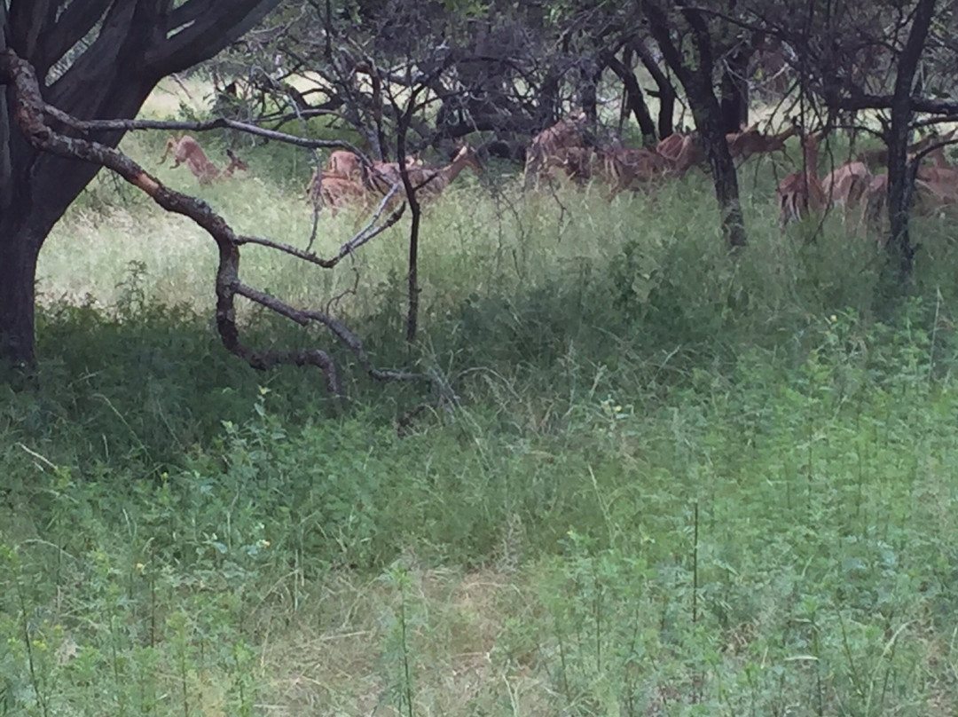 Harties Horse Trail Safaris-哈特比斯普特必去景点