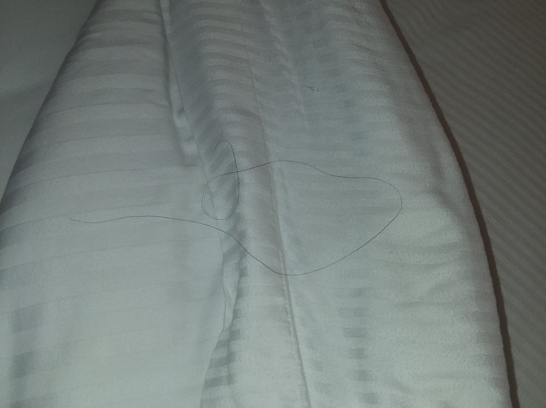 Atkinson Inn & Suites主图