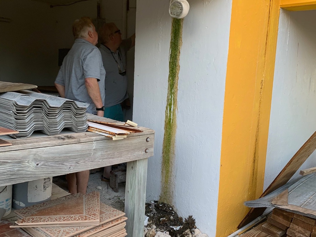 Long Bay Beach-普罗维登西亚莱斯必去景点