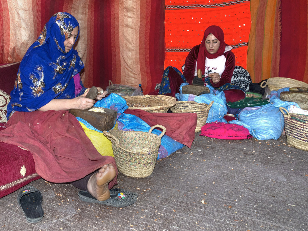 Elixir D'argane-阿加迪尔必去景点