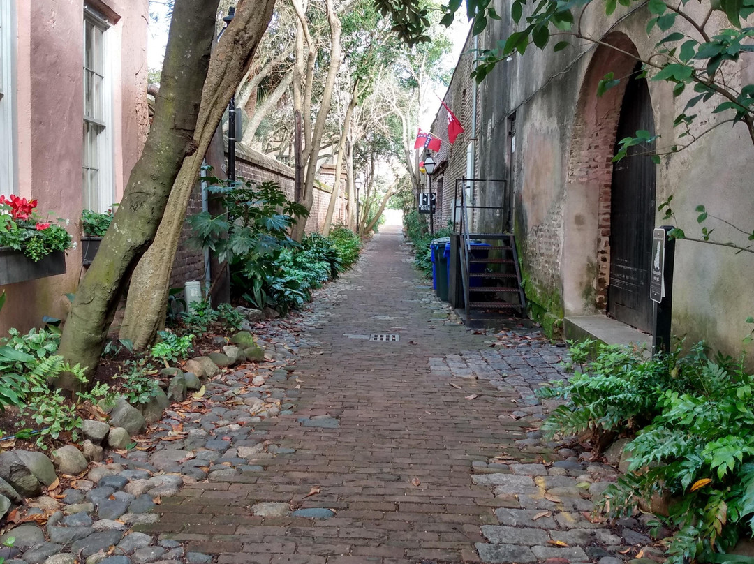 Charleston Perspective Walking Tour景点图片