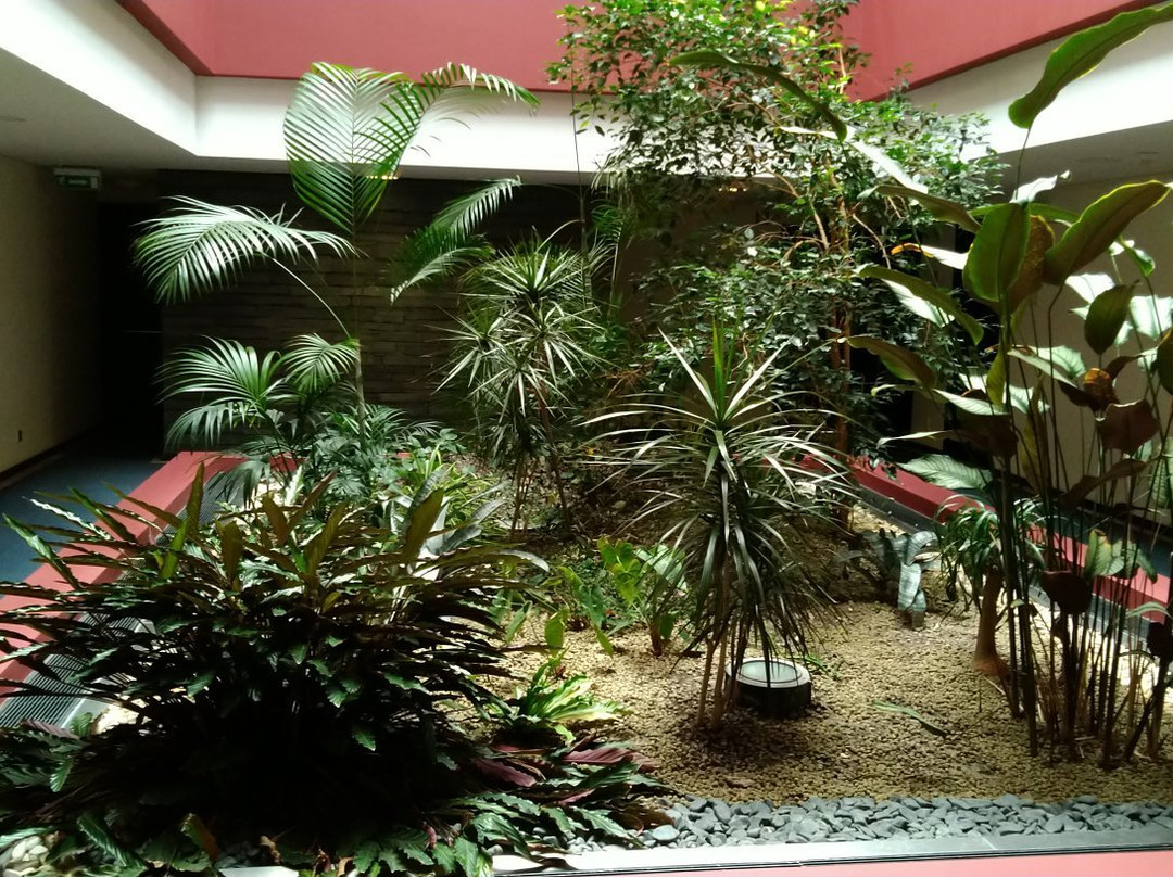 Hotel S. Pedro主图