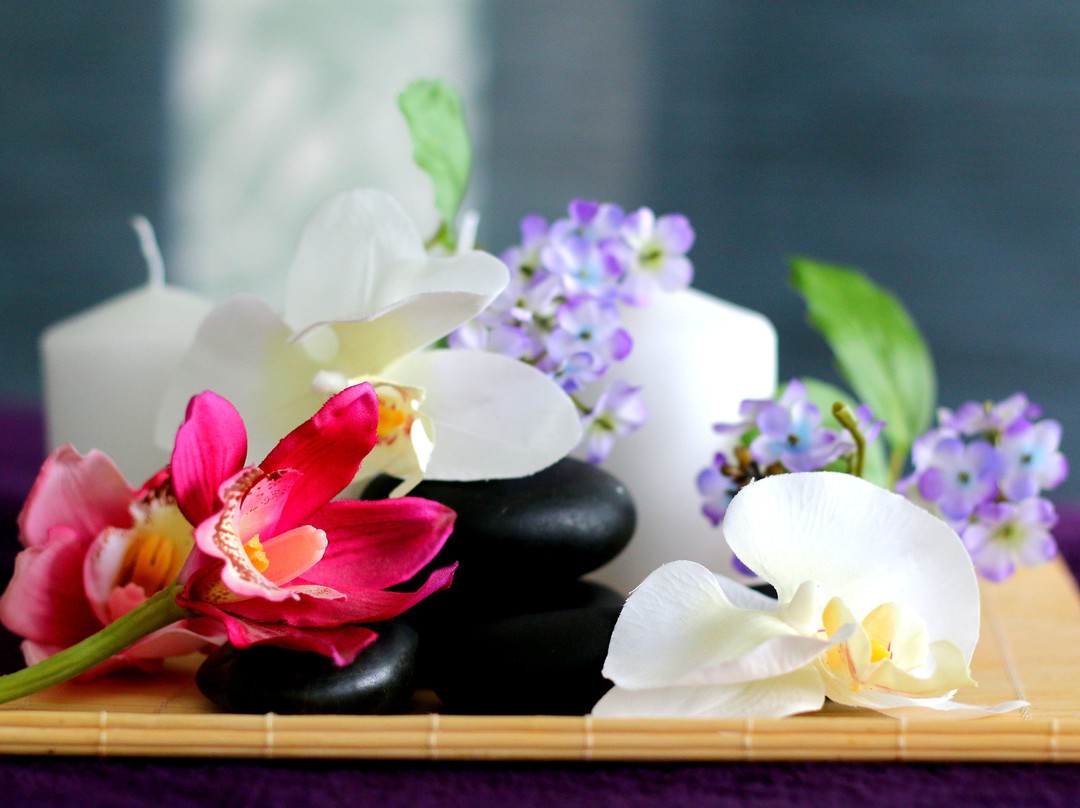 Retreat Garden-海牙必去景点