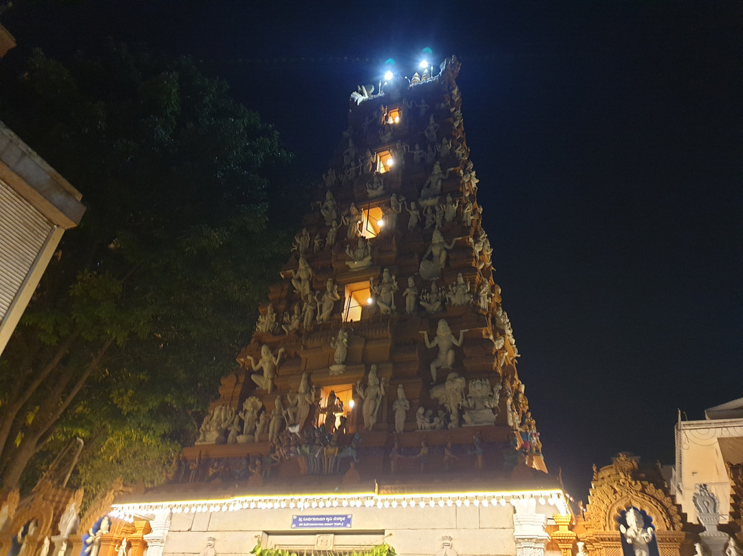 Sree Surya Narayana Swamy Temple景点图片