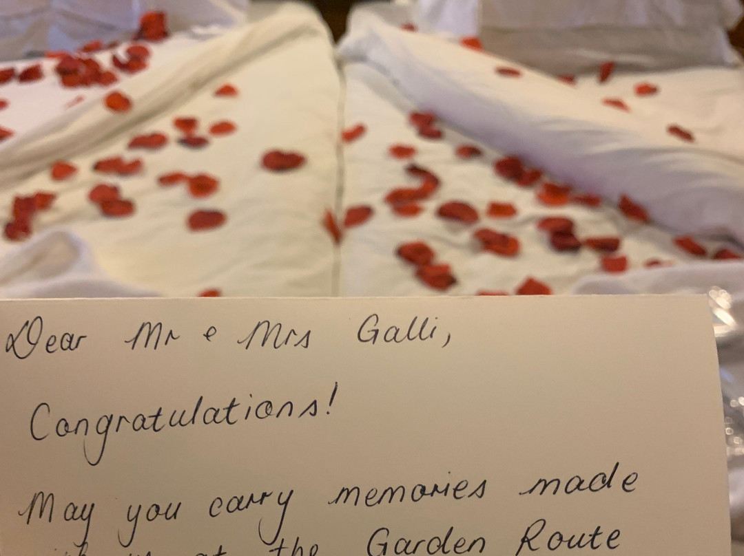 Garden Route Game Lodge Day Safaris-阿尔贝蒂娜必去景点