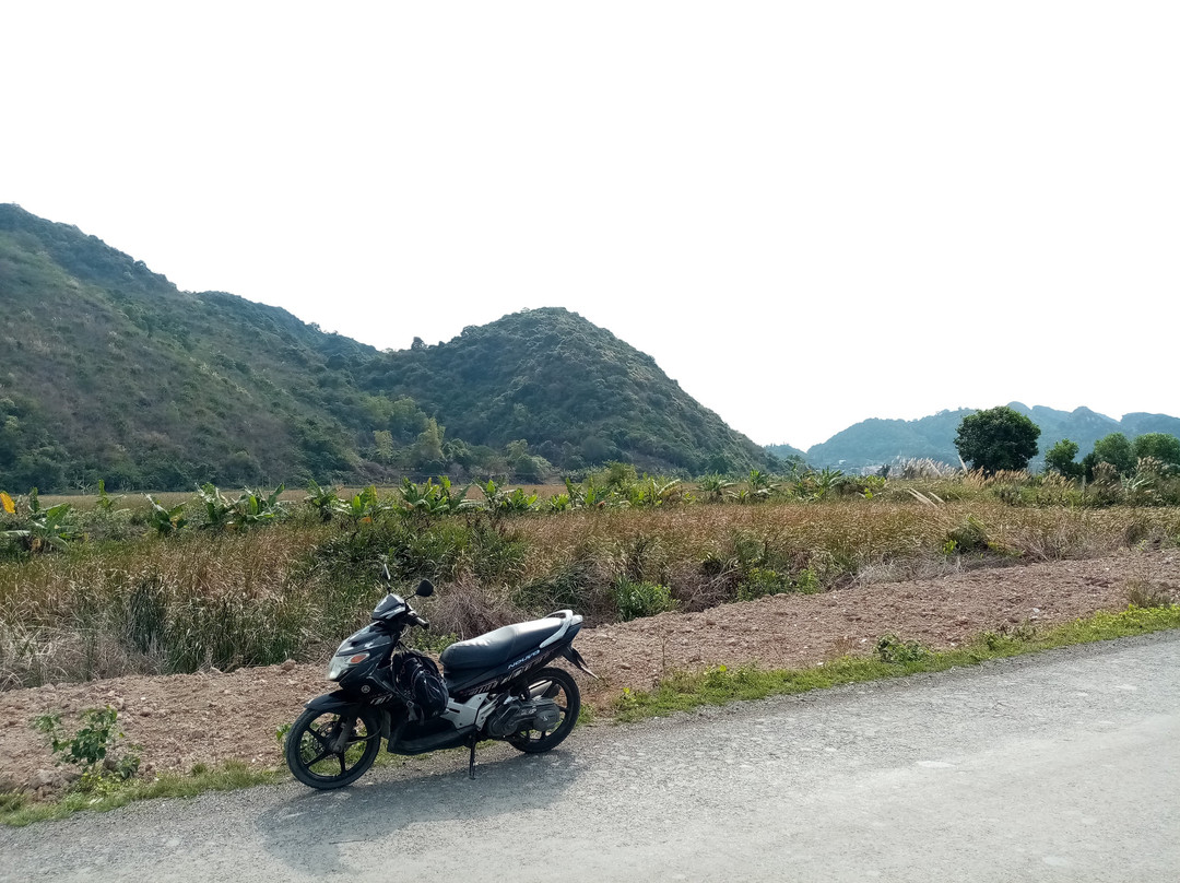 Ha Long Motorbike Rental景点图片