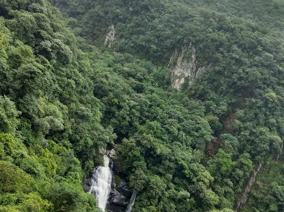 Caminho do Itupava景点图片