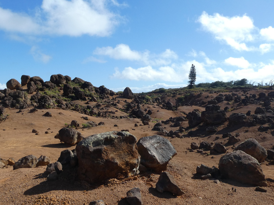 众神花园-拉奈市必去景点