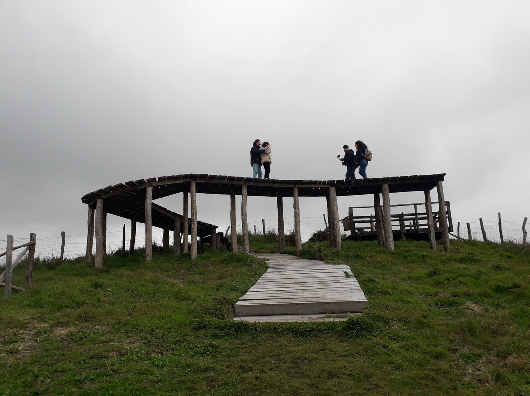Ecoturismo Punihuil-Ancud必去景点
