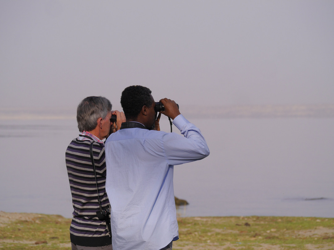 Ethiopian Endemic Birdwatching Tours-拉利贝拉必去景点