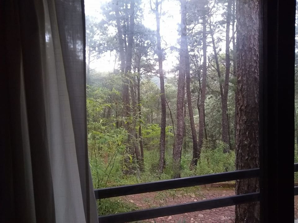 Monteverde Hotel de Cabanas主图