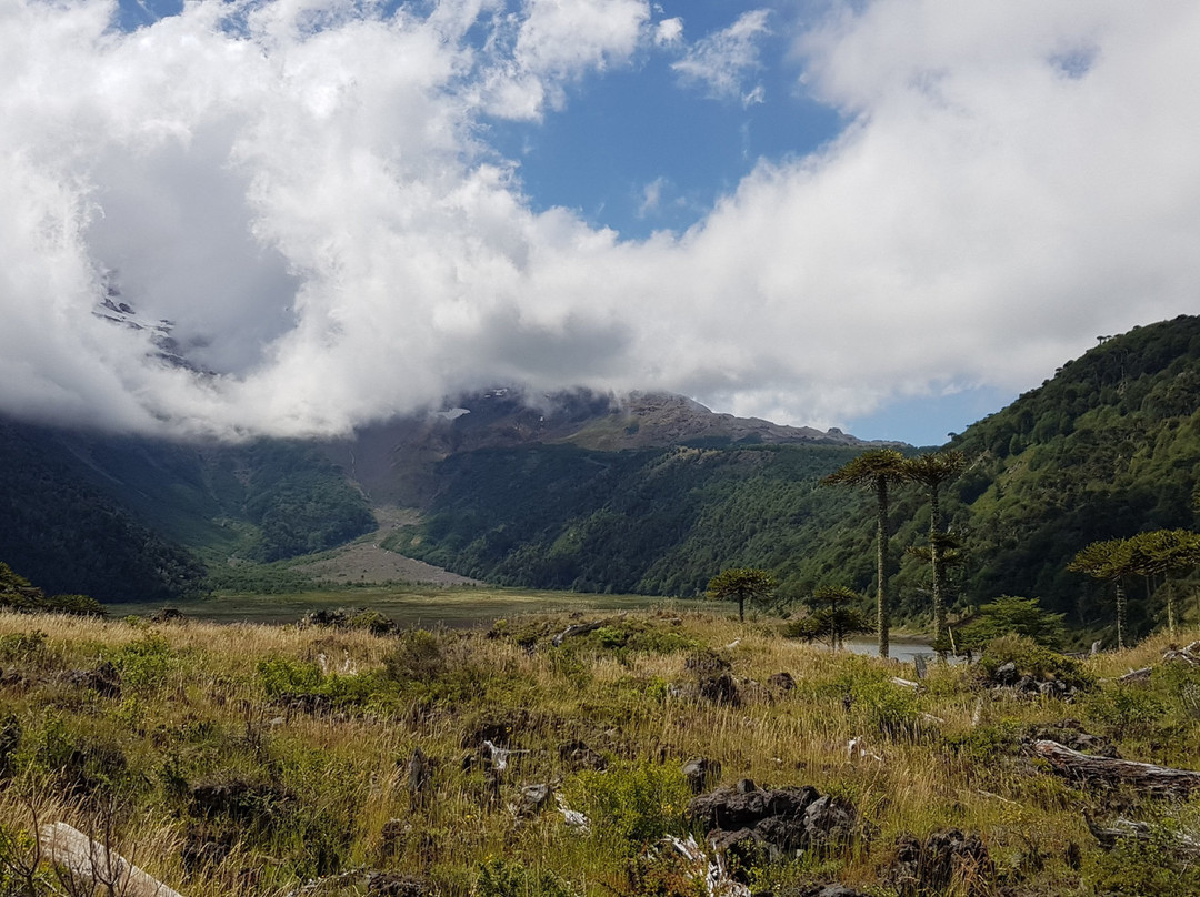 Fundo Laguna Blanca Resort主图