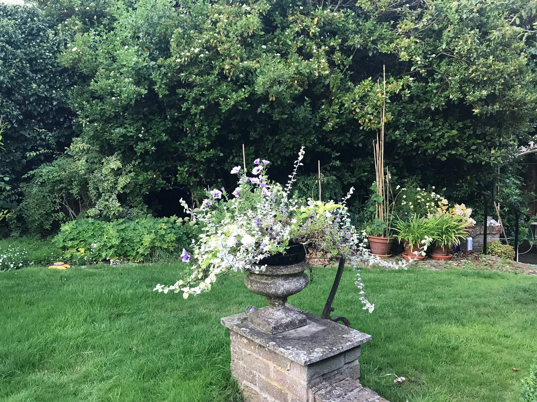 The Garden Cottage主图