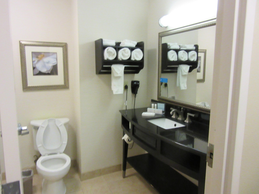 Hampton Inn & Suites Montgomery-Downtown主图