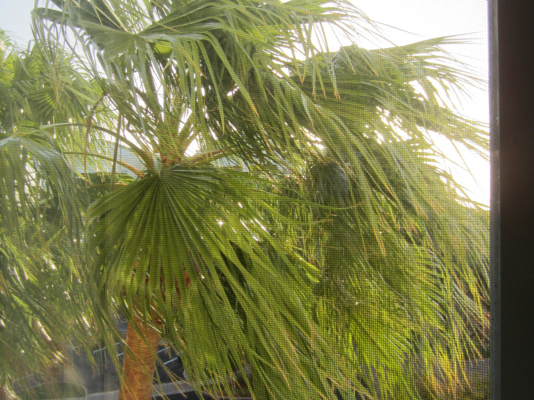 Vacation Village at Weston主图