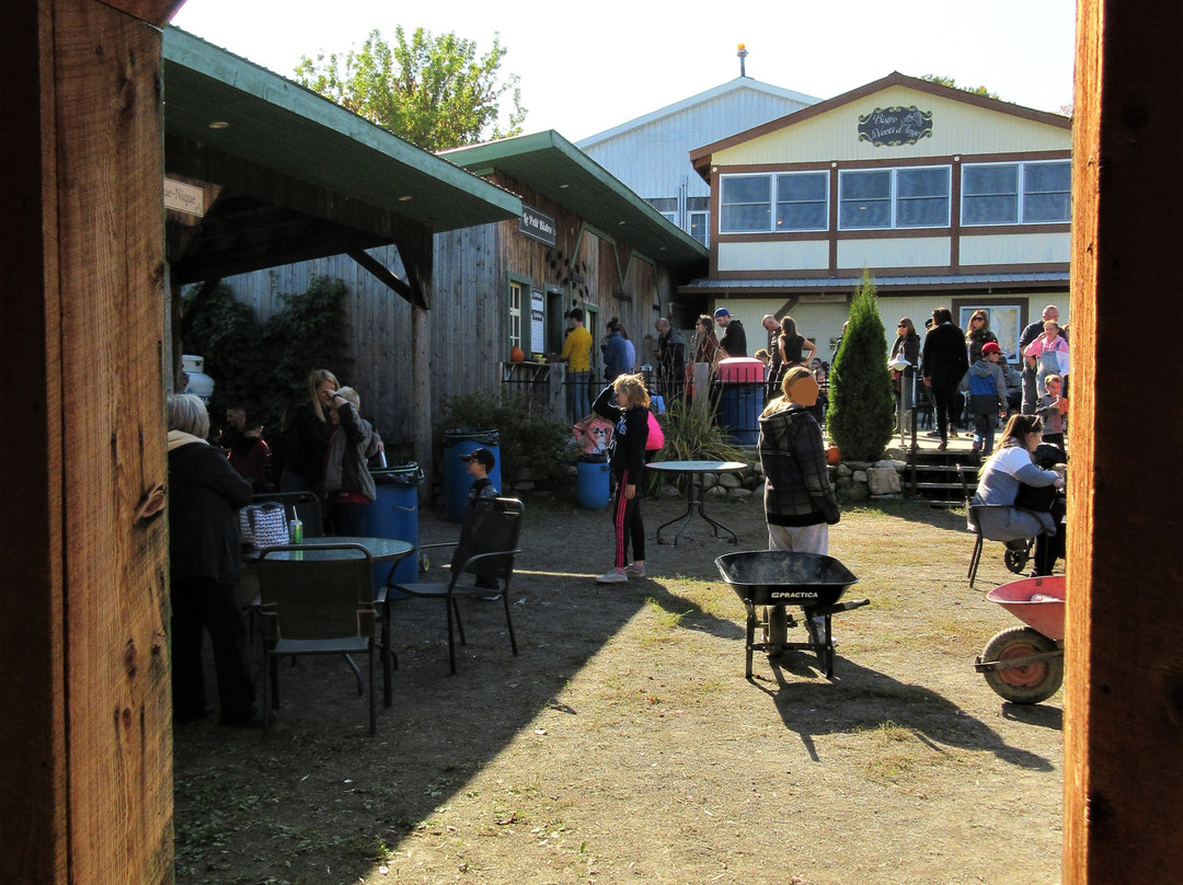 Vignoble Les Vents D'ange-Saint-Joseph-du-Lac必去景点