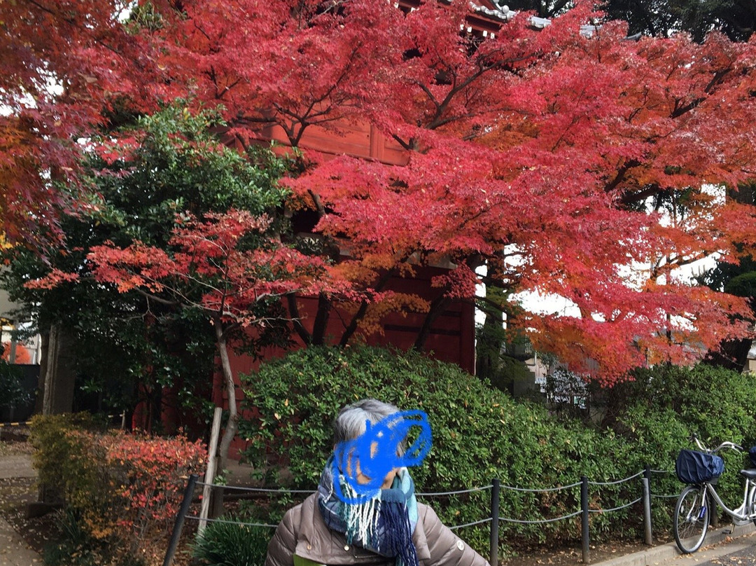 Hondo-ji Temple-松户市必去景点