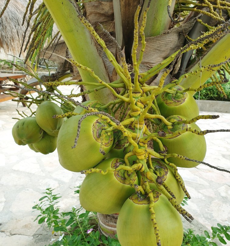 Mananga Aba Beach景点图片
