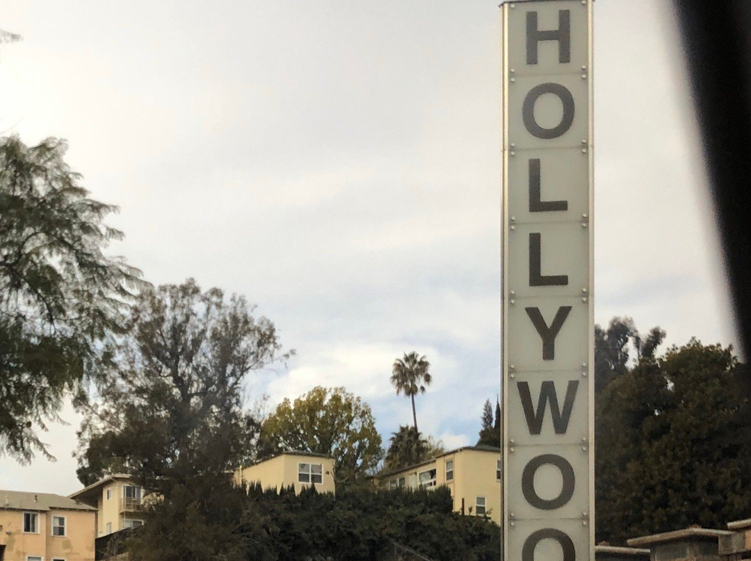 Open Bus Tours-洛杉矶必去景点