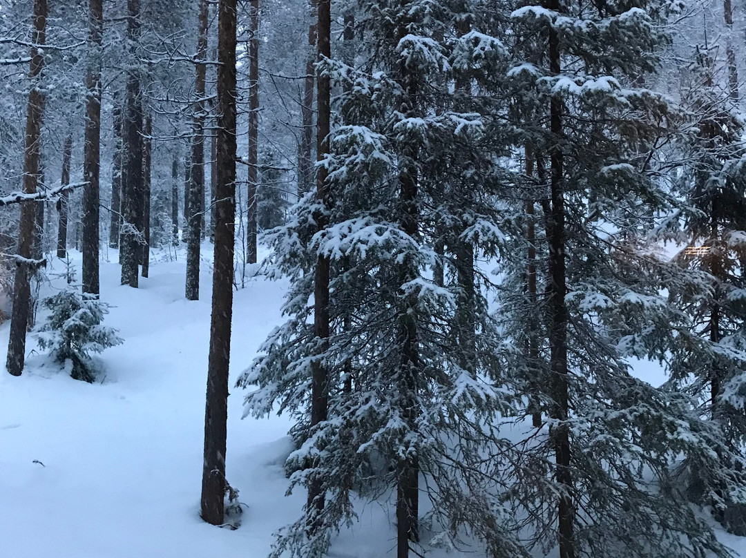 列维通托里Spa酒店主图