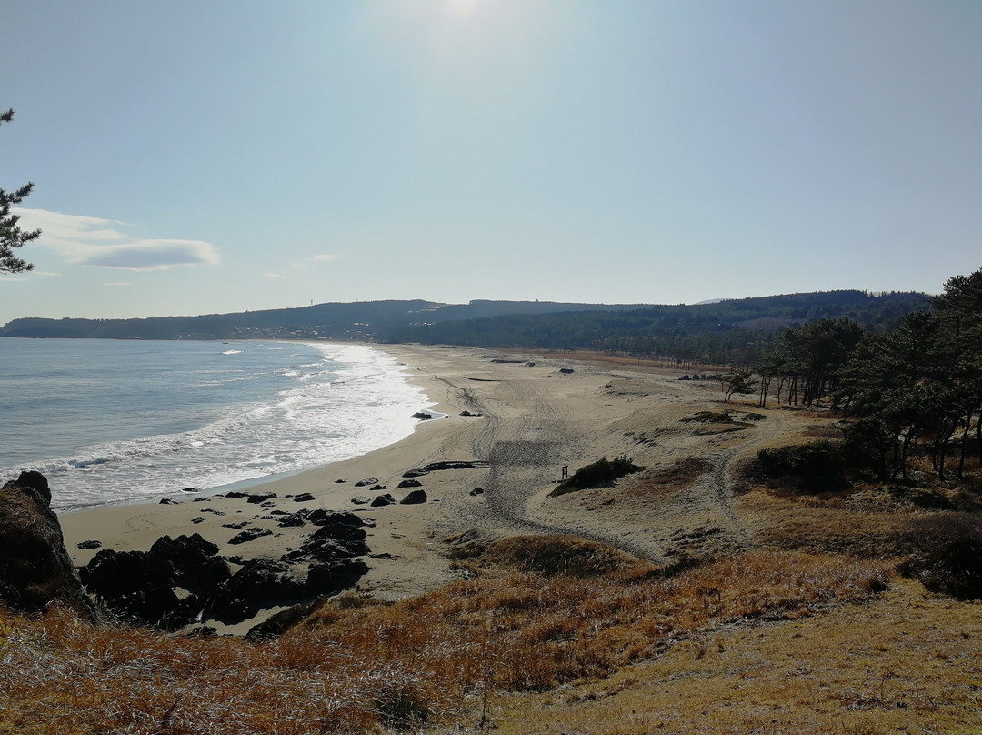 Shirahama Beach-八户市必去景点
