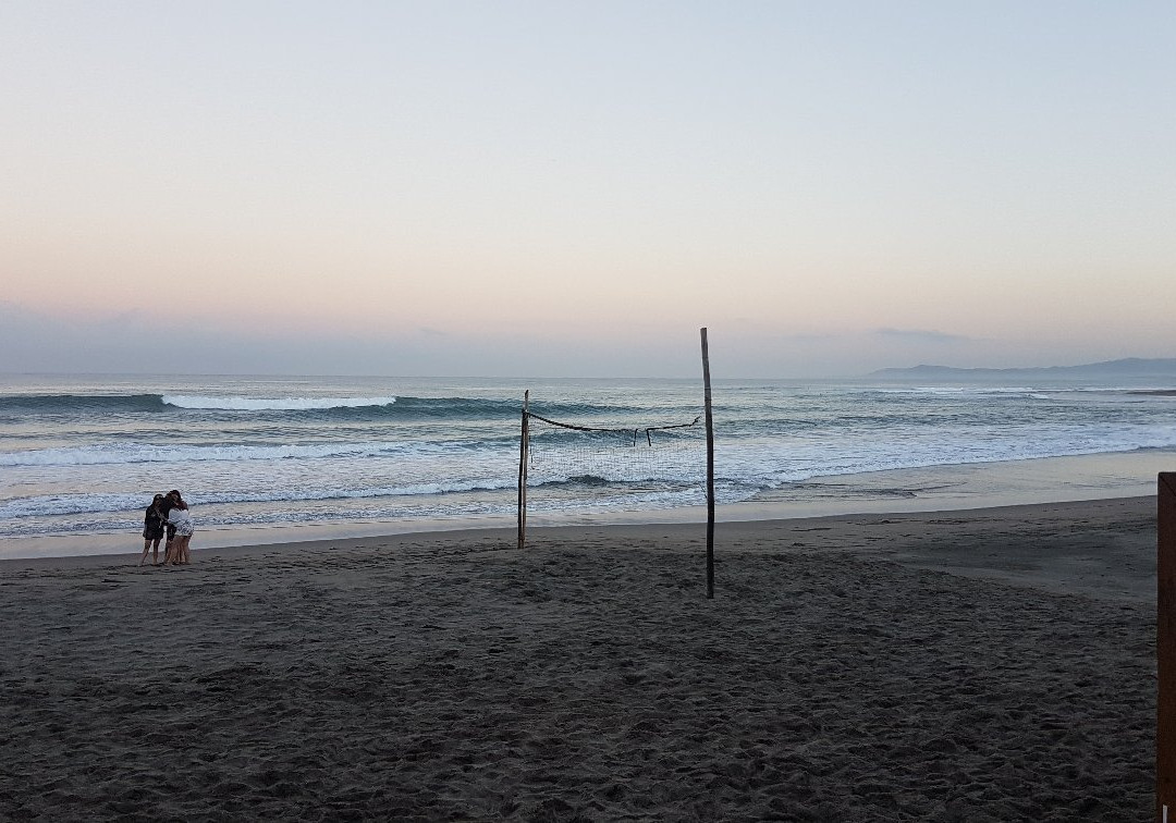 Sebay Surf Central主图