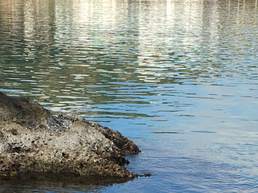 karpaz Livana Hotel主图