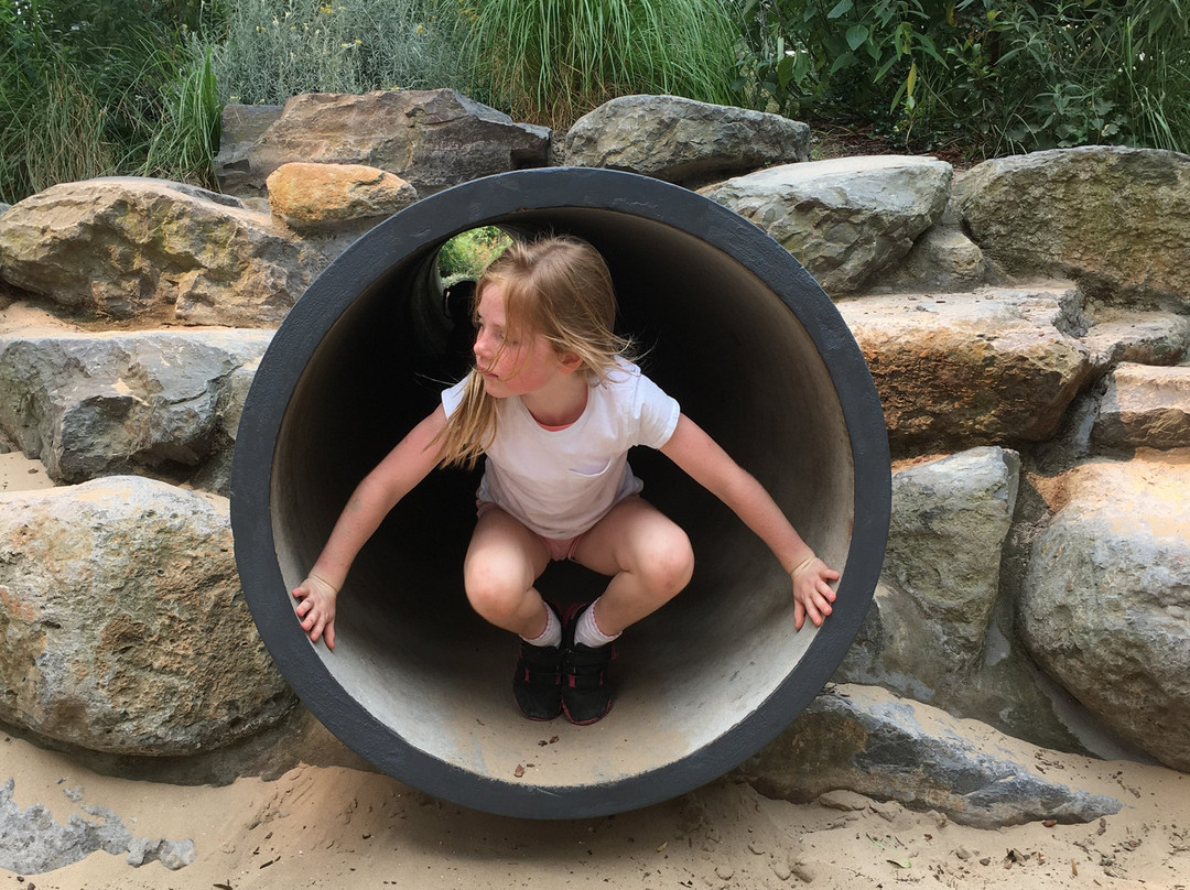The Ian Potter Children's Wild Play Garden景点图片