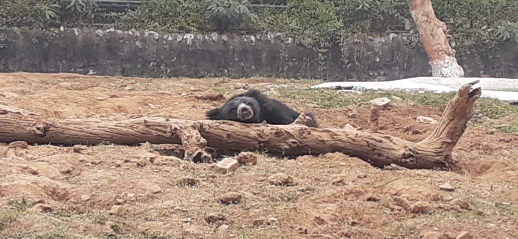 Gandhi Prani Udhyan-瓜廖尔必去景点