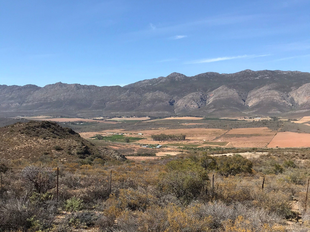 Heidiland Horseback Adventures-蒙提古必去景点