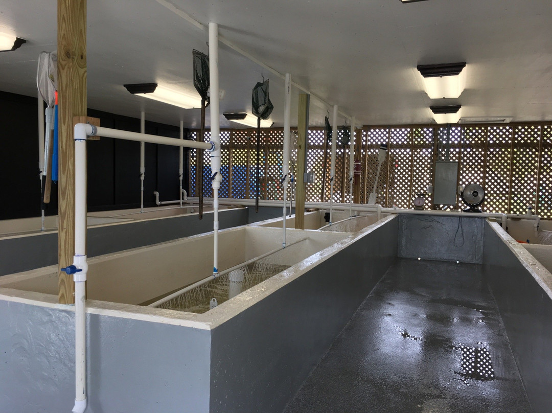 Hackberry Fishing Camp & Marina-Hackberry必去景点