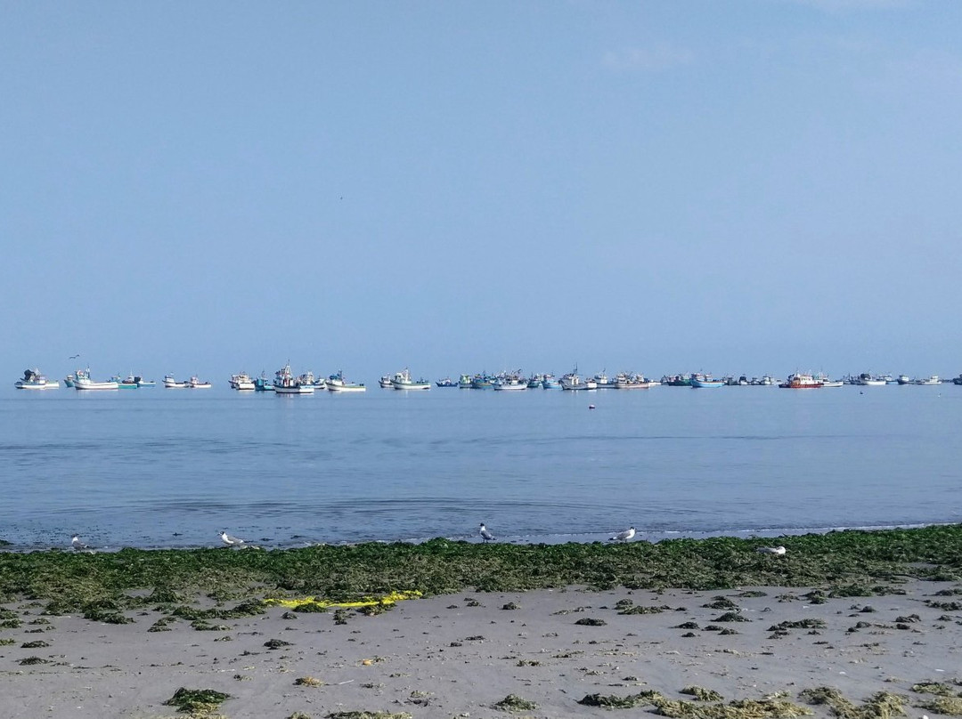 The Boulevarde-帕拉卡斯必去景点