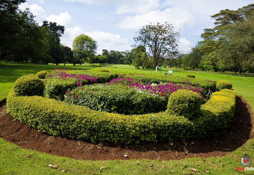 Limuru Country Club-黎木鲁必去景点