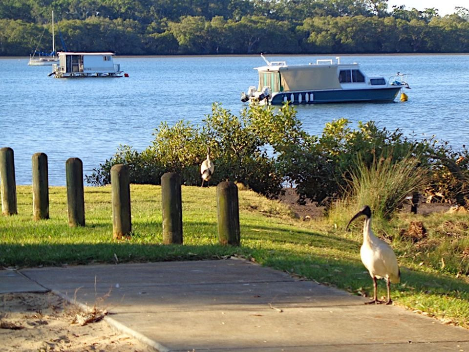Jock Kennedy Recreation Reserve景点图片