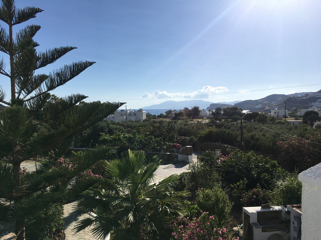 Island House Hotel主图