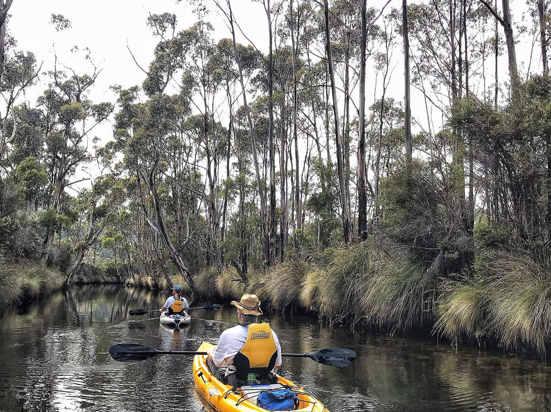 Esperance Adventures-多佛必去景点