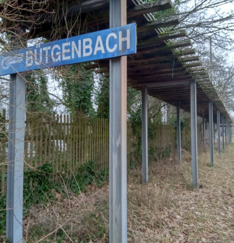 Lake of Bütgenbach-Butgenbach必去景点