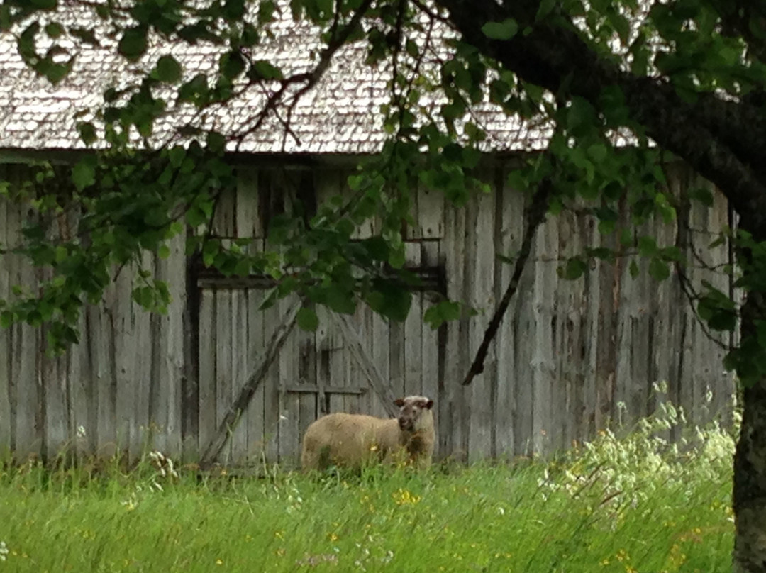 Maanselän Etappi-Sotkamo必去景点