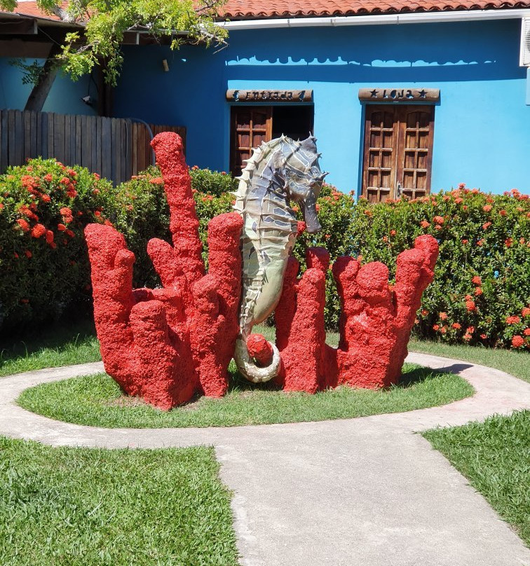 Projeto Hippocampus-嘎林海斯港必去景点