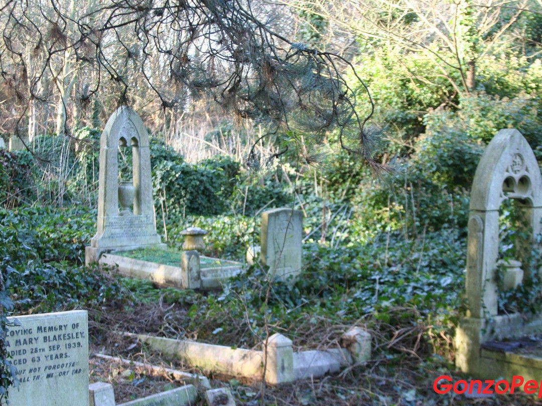 汉姆东自然保护区-伦敦必去景点