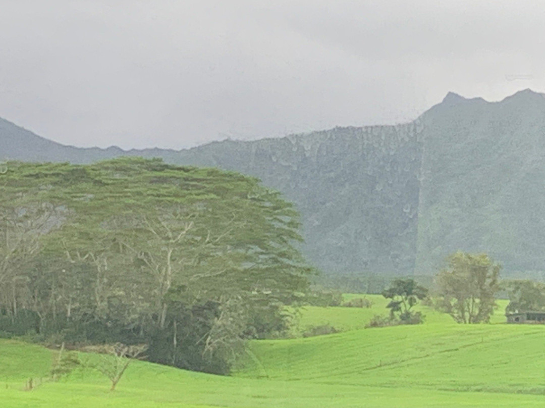 Robert's Hawaii-利胡埃必去景点