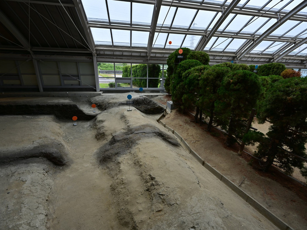 Nojima Fault Preservation Museum-淡路市必去景点