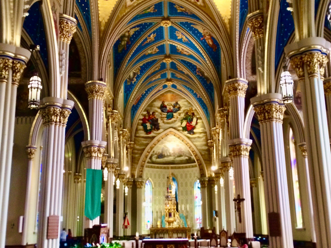 Basilica of the Sacred Heart-Notre Dame必去景点