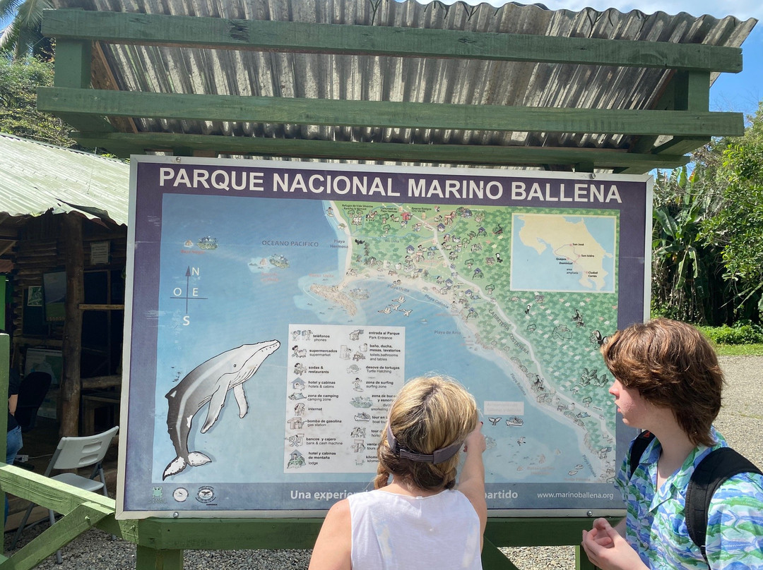 Parque Nacional Marino Ballena景点图片