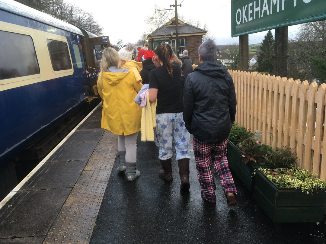Dartmoor Railway景点图片