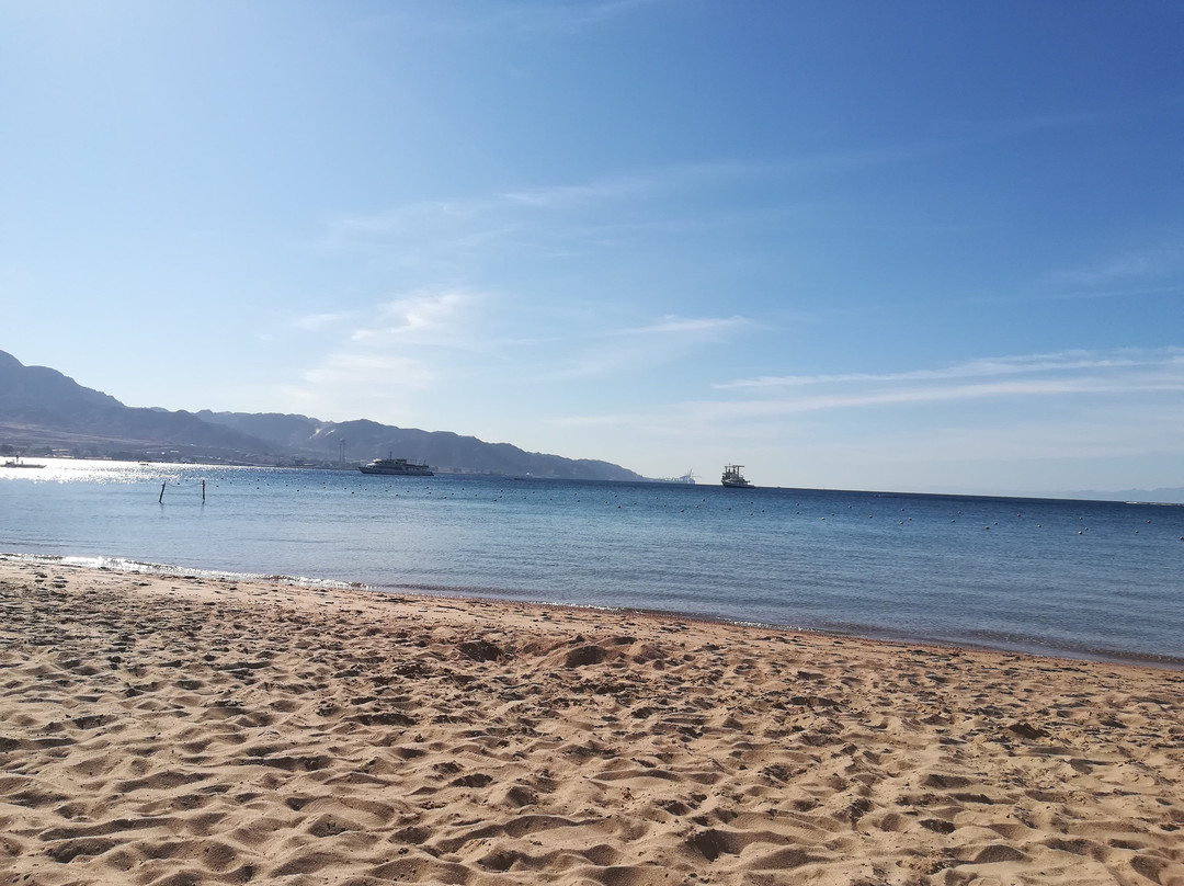 Al Zarqa旅游攻略图片