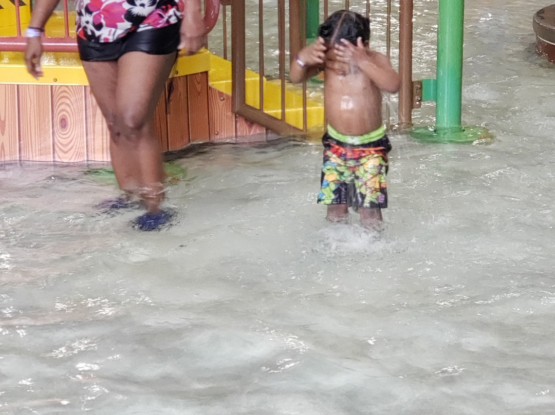 Indoor Water Park-Fitchburg必去景点